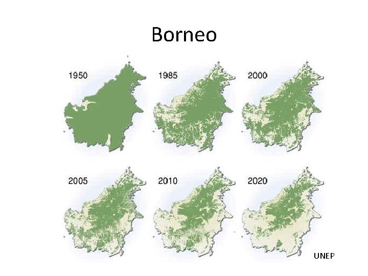 Borneo UNEP 