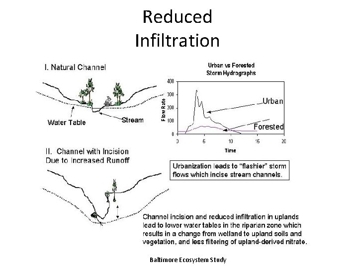 Reduced Infiltration Baltimore Ecosystem Study 