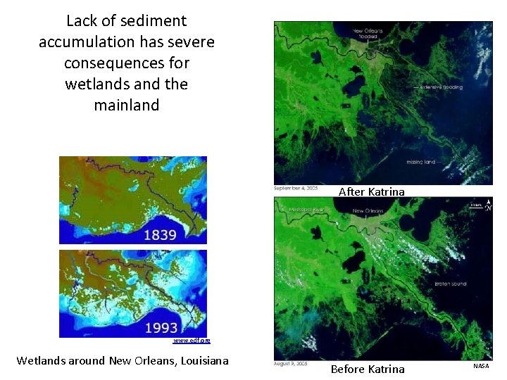 Lack of sediment accumulation has severe consequences for wetlands and the mainland After Katrina