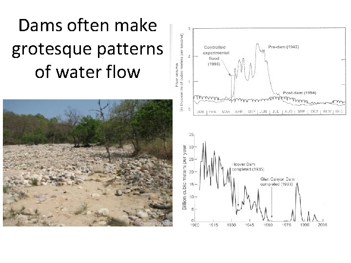 Dams often make grotesque patterns of water flow 