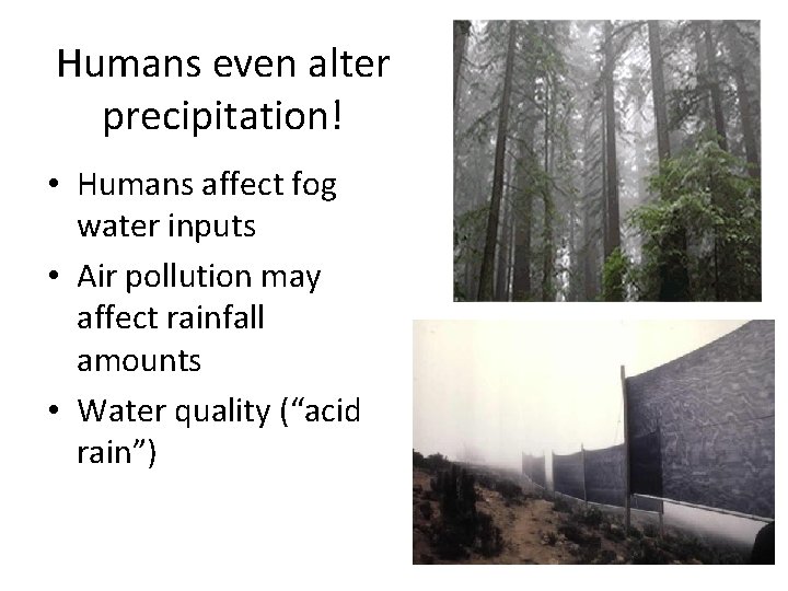 Humans even alter precipitation! • Humans affect fog water inputs • Air pollution may