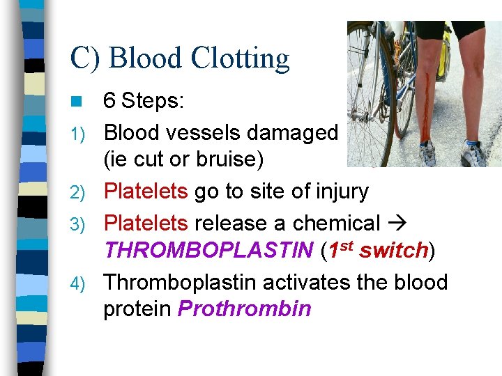 C) Blood Clotting n 1) 2) 3) 4) 6 Steps: Blood vessels damaged (ie