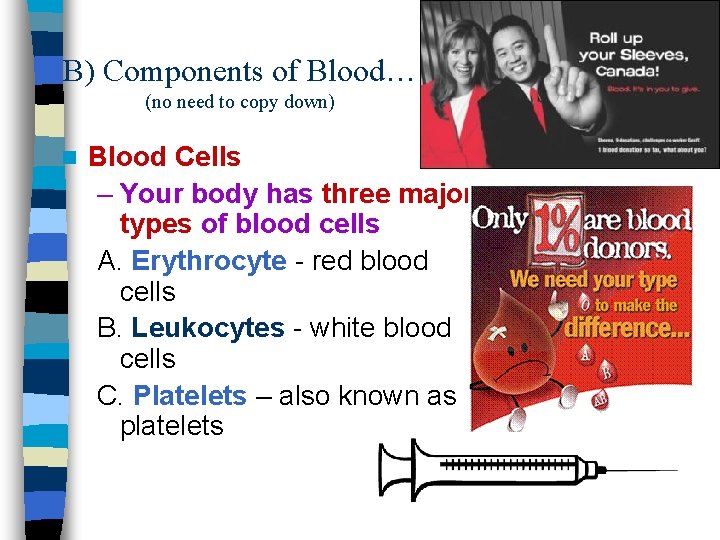 B) Components of Blood… (no need to copy down) n Blood Cells – Your