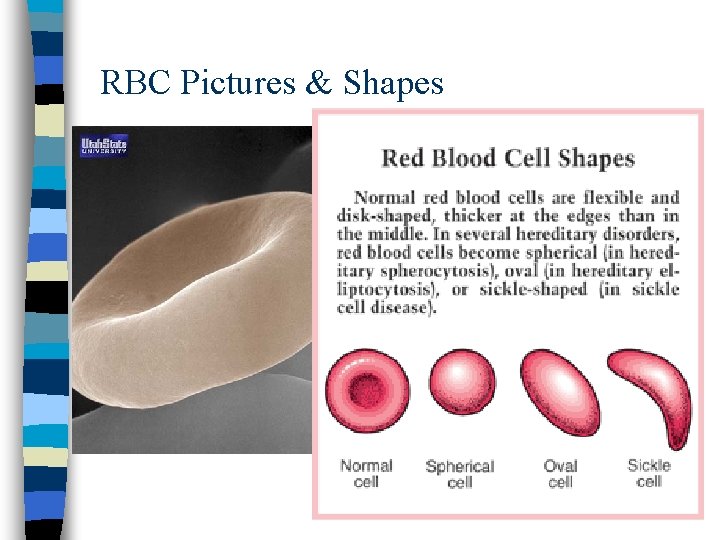 RBC Pictures & Shapes 