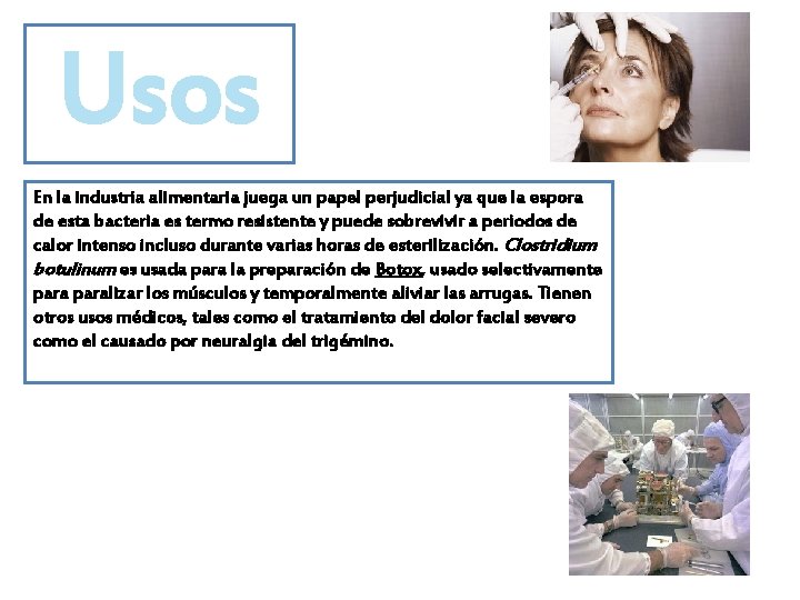 Usos En la industria alimentaria juega un papel perjudicial ya que la espora de