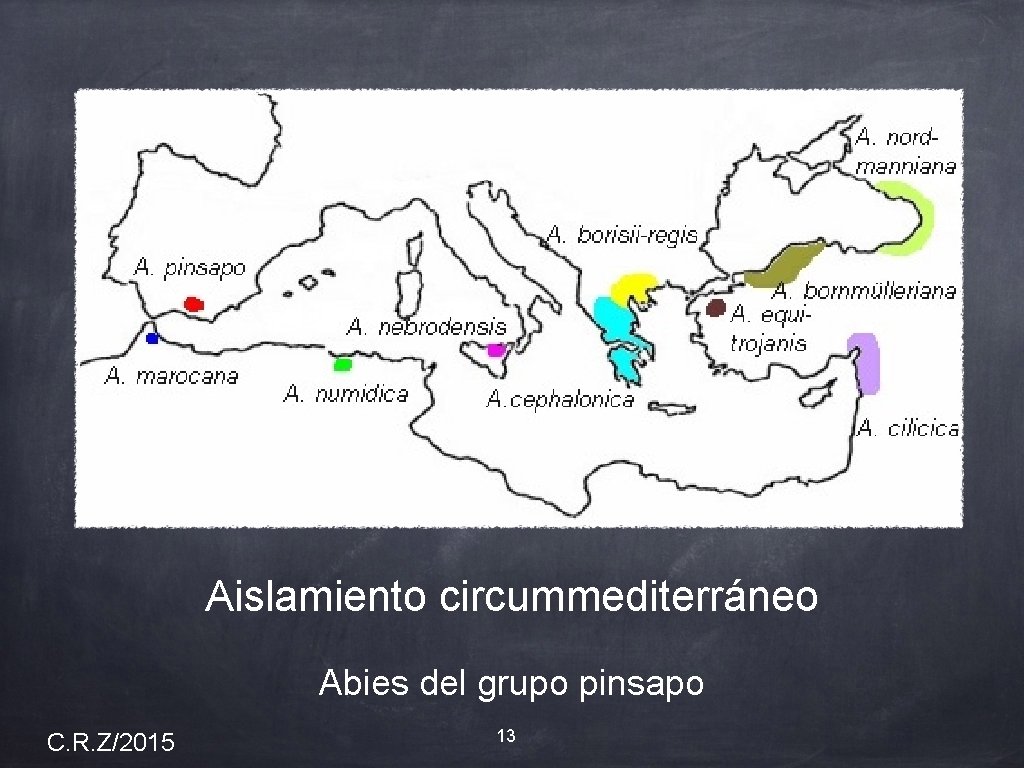 Aislamiento circummediterráneo Abies del grupo pinsapo C. R. Z/2015 13 