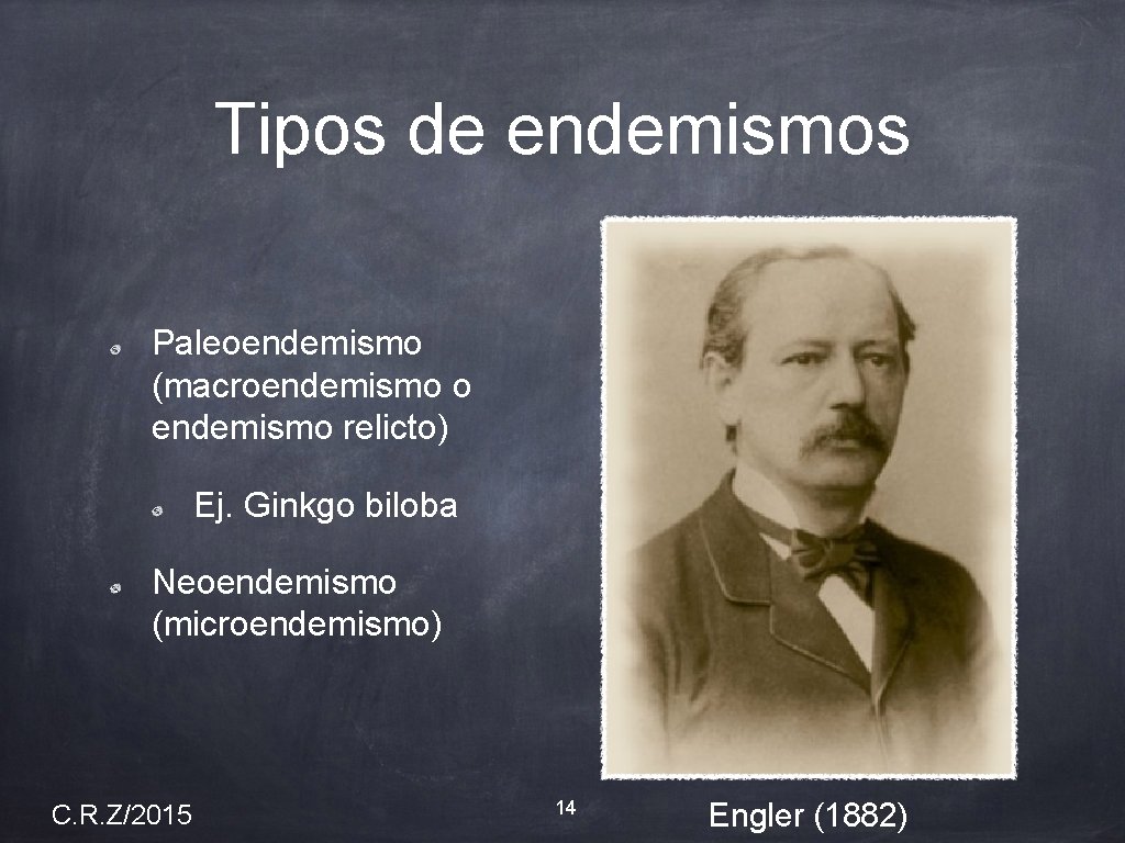 Tipos de endemismos Paleoendemismo (macroendemismo o endemismo relicto) Ej. Ginkgo biloba Neoendemismo (microendemismo) C.