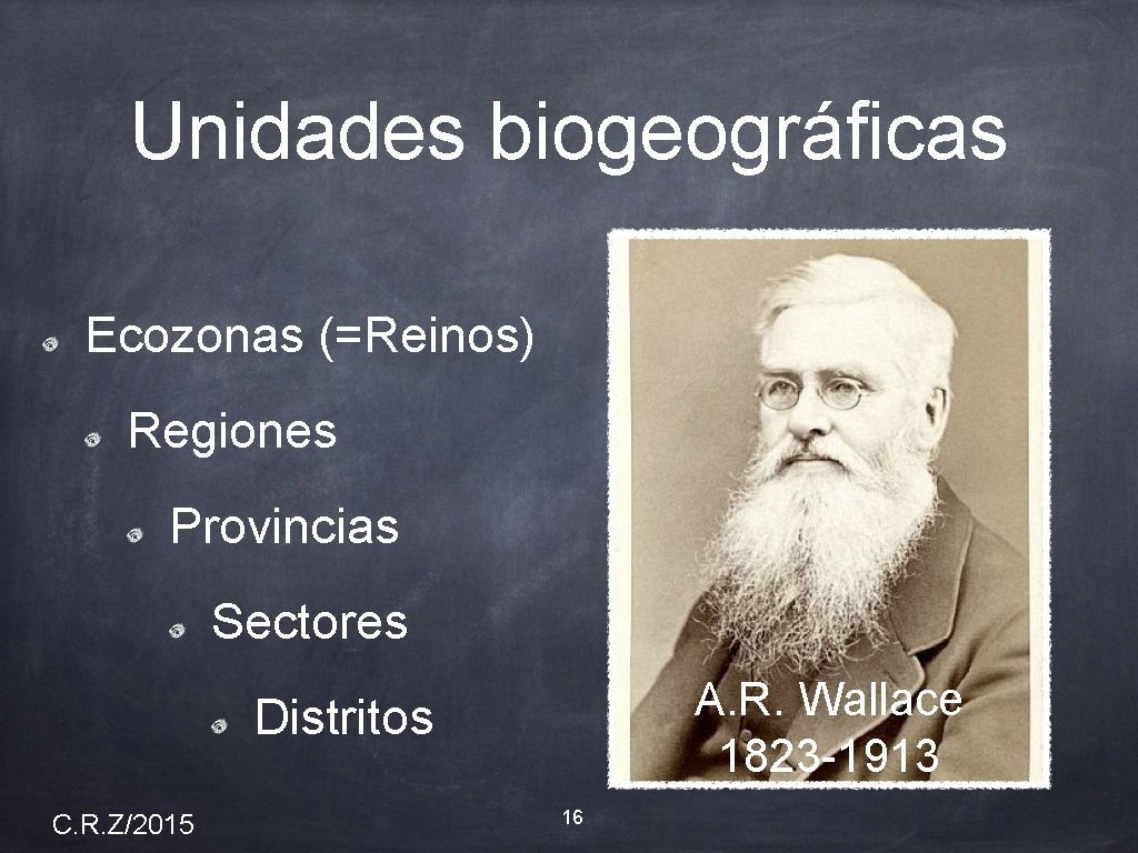 Unidades biogeográficas Ecozonas (=Reinos) Regiones Provincias Sectores A. R. Wallace 1823 -1913 Distritos C.