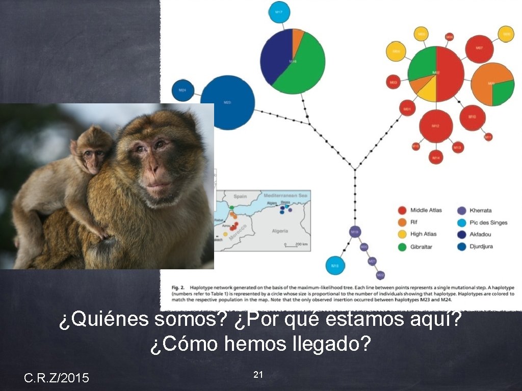 ¿Quiénes somos? ¿Por qué estamos aquí? ¿Cómo hemos llegado? C. R. Z/2015 21 