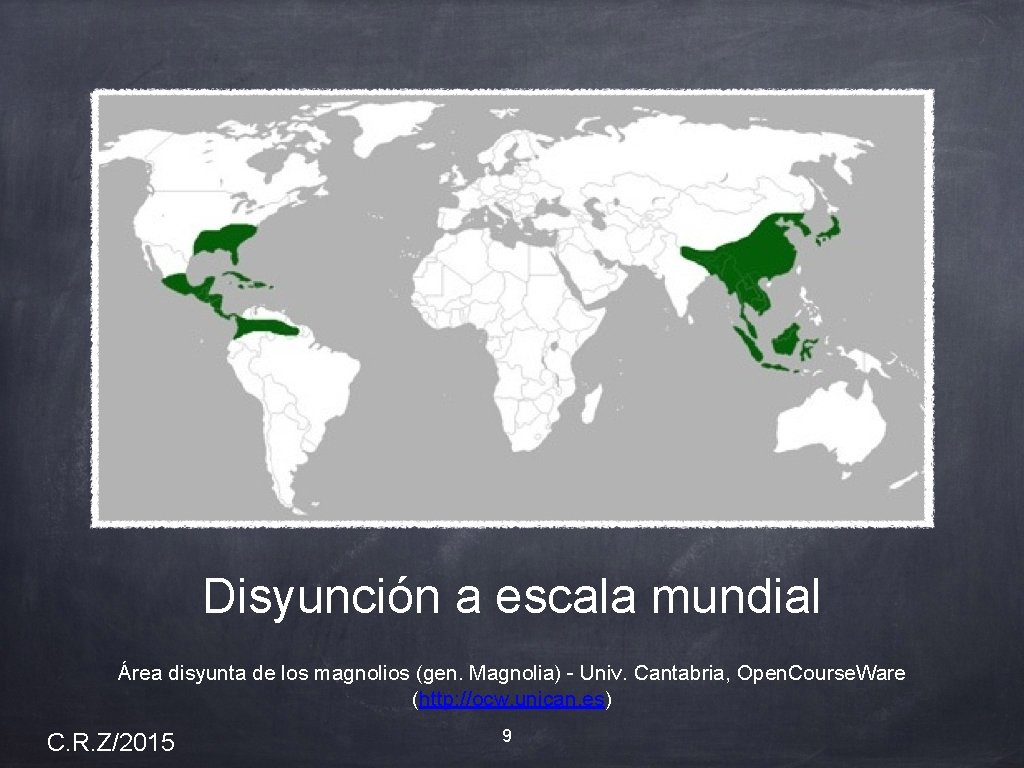 Disyunción a escala mundial Área disyunta de los magnolios (gen. Magnolia) - Univ. Cantabria,