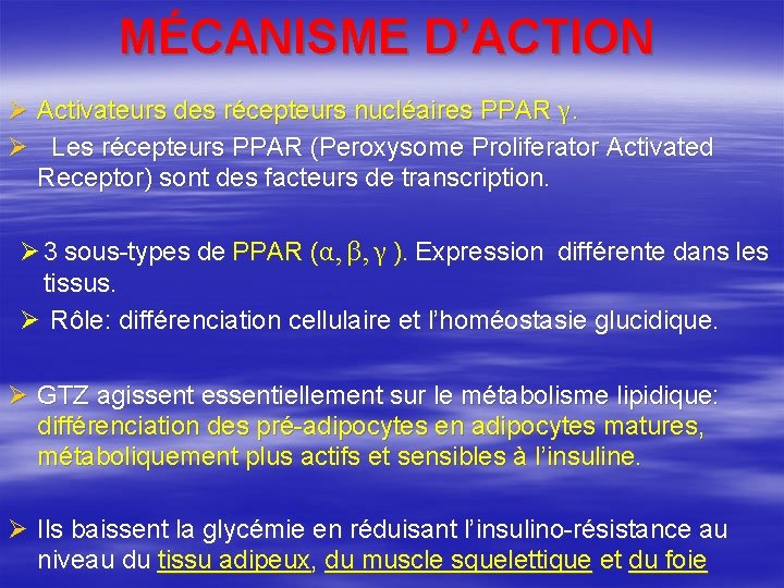 MÉCANISME D’ACTION Ø Activateurs des récepteurs nucléaires PPAR γ. Ø Les récepteurs PPAR (Peroxysome