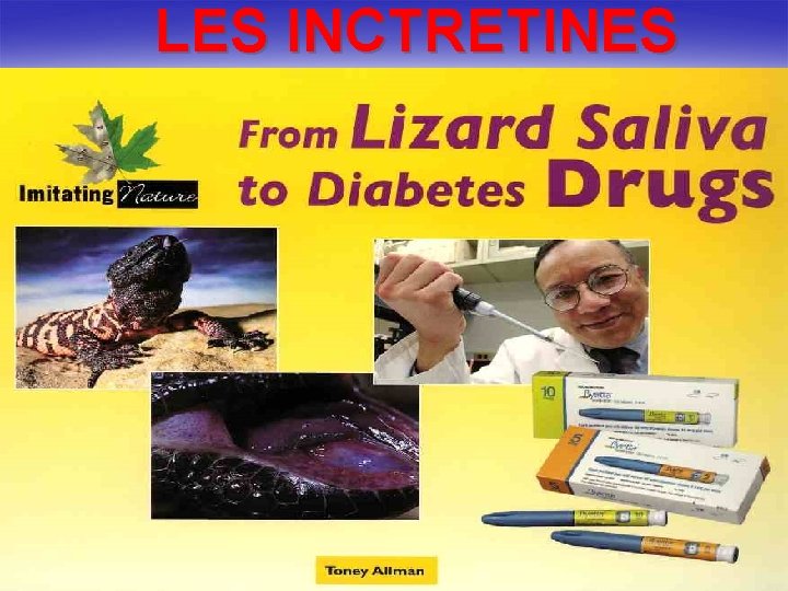 LES INCTRETINES 