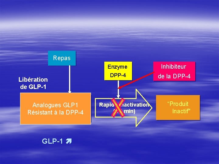 Repas Libération de GLP-1 (7– 36) Analogues GLP 1 Actif Résistant à la DPP-4