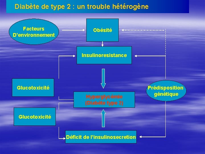 Diabète de type 2 : un trouble hétérogène Facteurs D’environnement Obésité Insulinoresistance Glucotoxicité Hyperglycémie