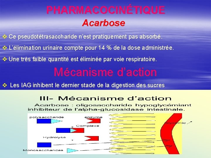 PHARMACOCINÉTIQUE Acarbose v Ce pseudotétrasaccharide n’est pratiquement pas absorbé. v L’élimination urinaire compte pour