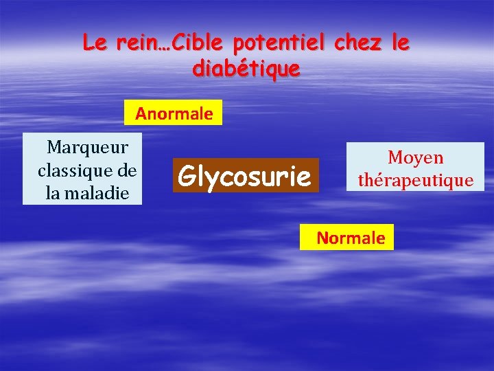 Le rein…Cible potentiel chez le diabétique Anormale Marqueur classique de la maladie Glycosurie Moyen