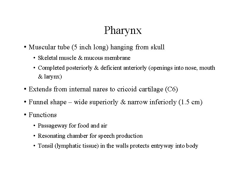 Pharynx • Muscular tube (5 inch long) hanging from skull • Skeletal muscle &