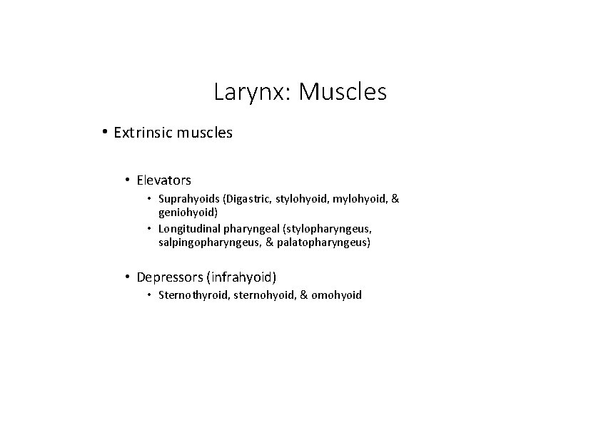 Larynx: Muscles • Extrinsic muscles • Elevators • Suprahyoids (Digastric, stylohyoid, mylohyoid, & geniohyoid)