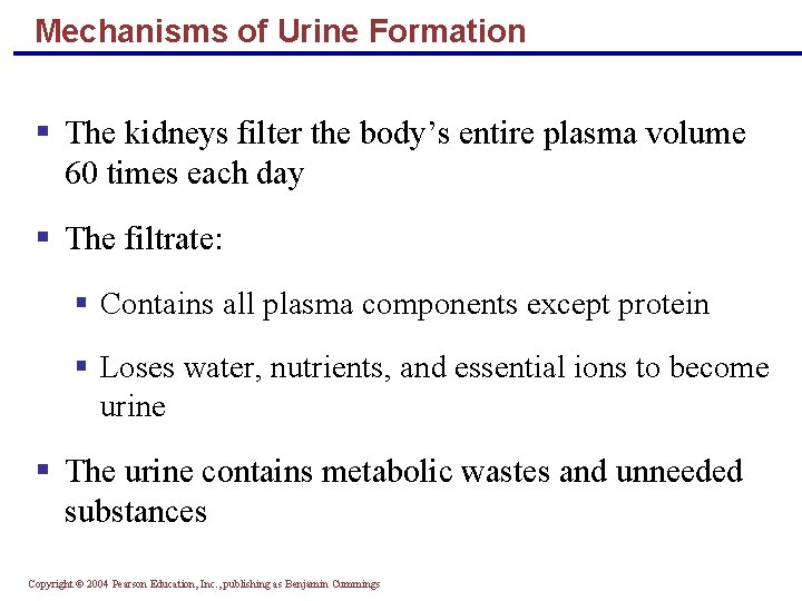 Mechanisms of Urine Formation § The kidneys filter the body’s entire plasma volume 60