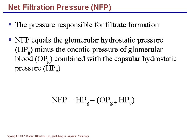 Net Filtration Pressure (NFP) § The pressure responsible for filtrate formation § NFP equals