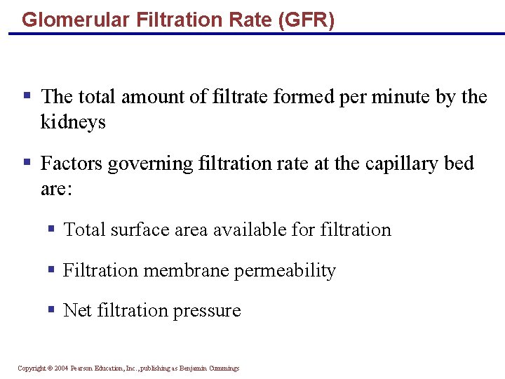 Glomerular Filtration Rate (GFR) § The total amount of filtrate formed per minute by