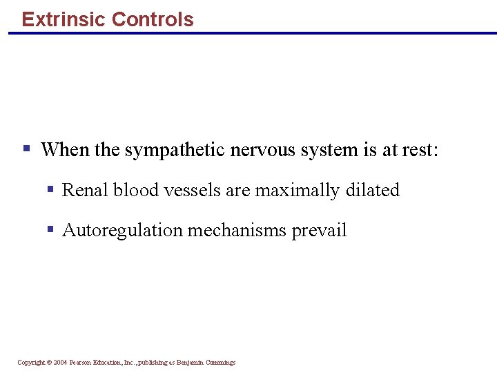 Extrinsic Controls § When the sympathetic nervous system is at rest: § Renal blood