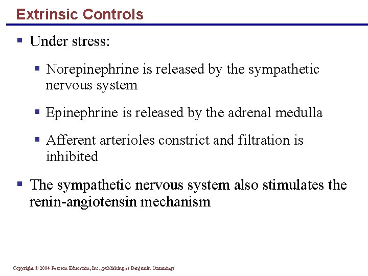 Extrinsic Controls § Under stress: § Norepinephrine is released by the sympathetic nervous system