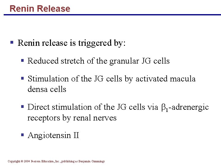 Renin Release § Renin release is triggered by: § Reduced stretch of the granular