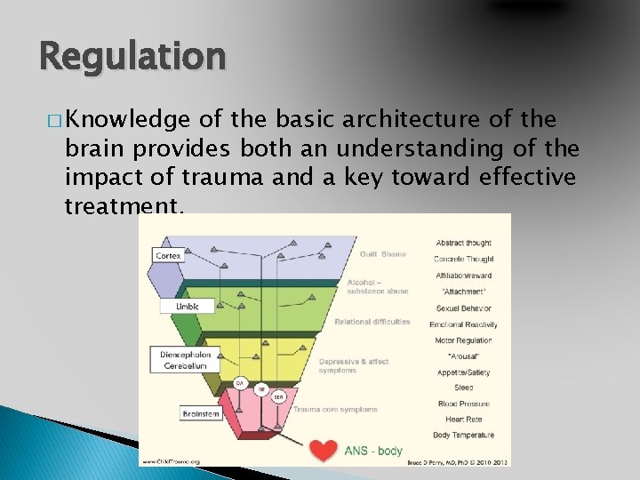 Regulation � Knowledge of the basic architecture of the brain provides both an understanding