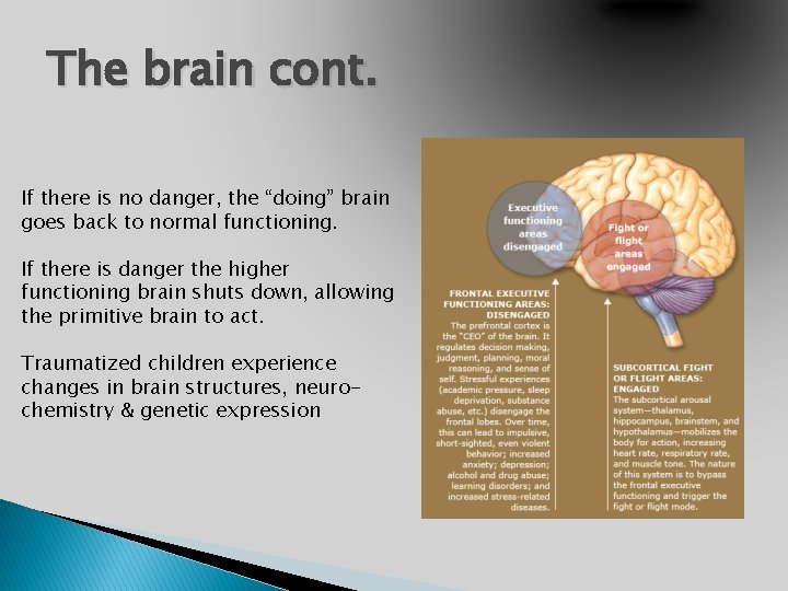 The brain cont. If there is no danger, the “doing” brain goes back to
