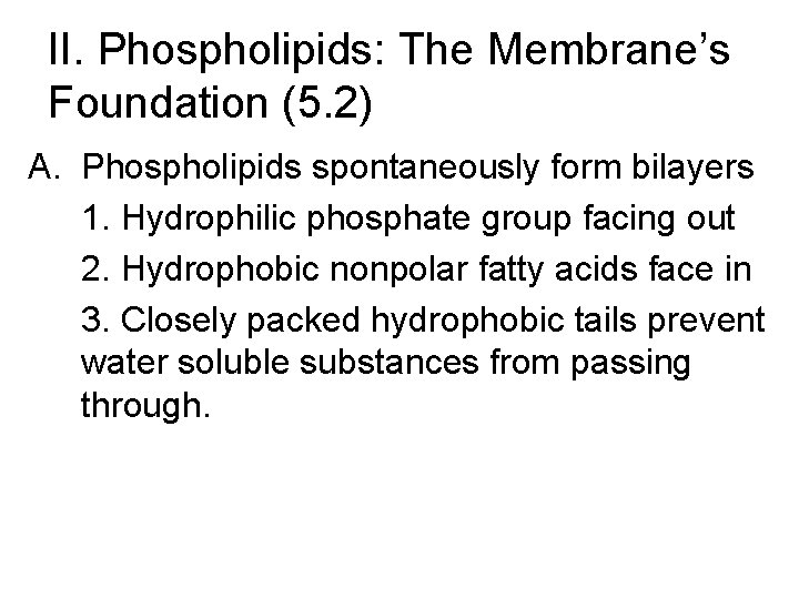 II. Phospholipids: The Membrane’s Foundation (5. 2) A. Phospholipids spontaneously form bilayers 1. Hydrophilic II. Phospholipids: The Membrane’s Foundation (5. 2) A. Phospholipids spontaneously form bilayers 1. Hydrophilic