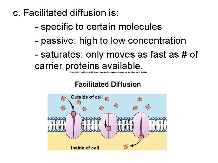 c. Facilitated diffusion is: - specific to certain molecules - passive: high to low c. Facilitated diffusion is: - specific to certain molecules - passive: high to low