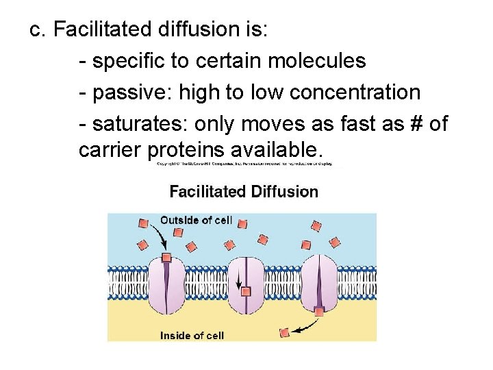 c. Facilitated diffusion is: - specific to certain molecules - passive: high to low