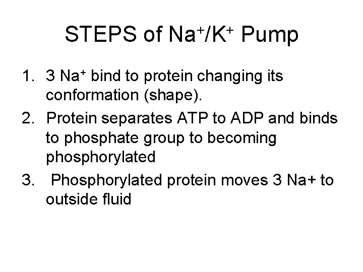 STEPS of Na+/K+ Pump 1. 3 Na+ bind to protein changing its conformation (shape).