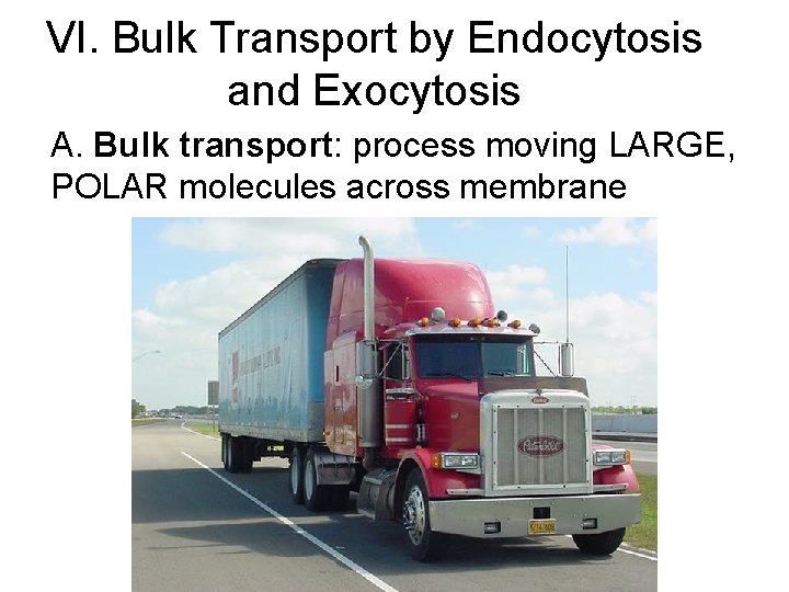 VI. Bulk Transport by Endocytosis and Exocytosis A. Bulk transport: process moving LARGE, POLAR VI. Bulk Transport by Endocytosis and Exocytosis A. Bulk transport: process moving LARGE, POLAR