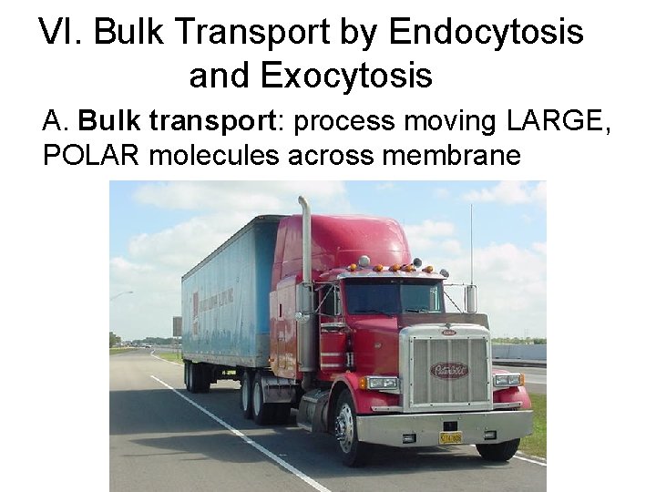 VI. Bulk Transport by Endocytosis and Exocytosis A. Bulk transport: process moving LARGE, POLAR