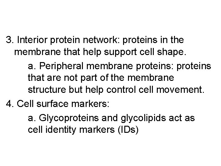 3. Interior protein network: proteins in the membrane that help support cell shape. a. 3. Interior protein network: proteins in the membrane that help support cell shape. a.