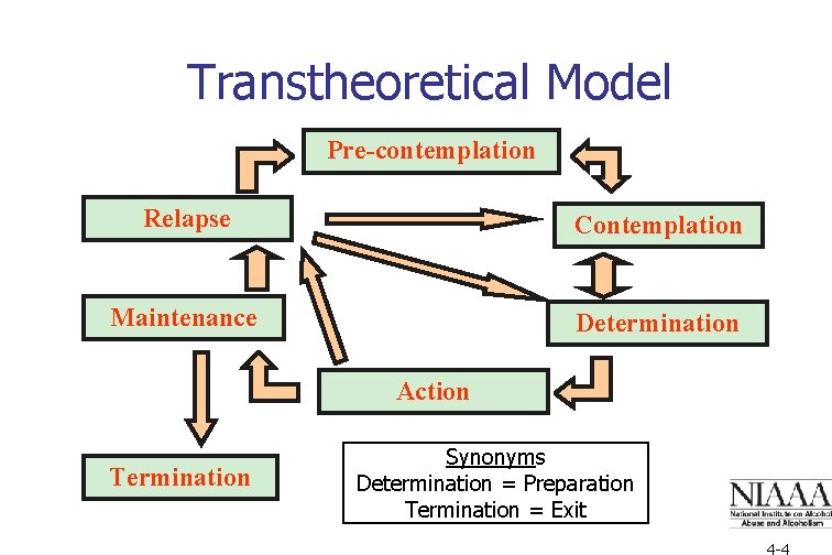 Transtheoretical Model Pre-contemplation Relapse Contemplation Maintenance Determination Action Termination Synonyms Determination = Preparation Termination