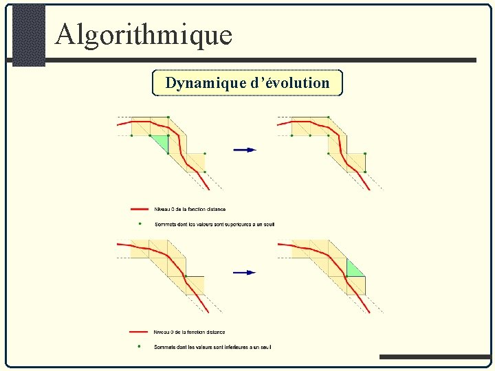 Algorithmique Dynamique d’évolution 