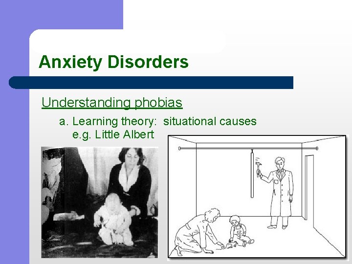 Anxiety Disorders Understanding phobias a. Learning theory: situational causes e. g. Little Albert 