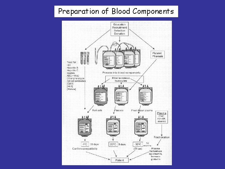 Preparation of Blood Components 