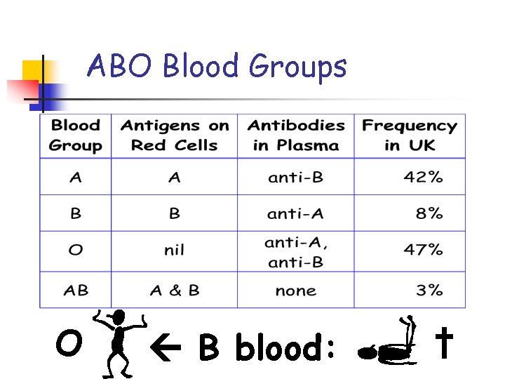 ABO Blood Groups O B blood: † 