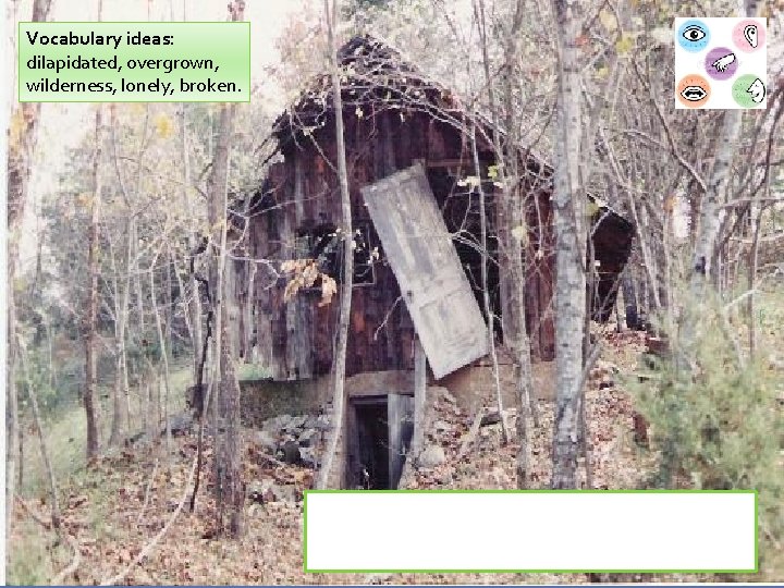Vocabulary ideas: dilapidated, overgrown, wilderness, lonely, broken. Describe this setting. You must include a