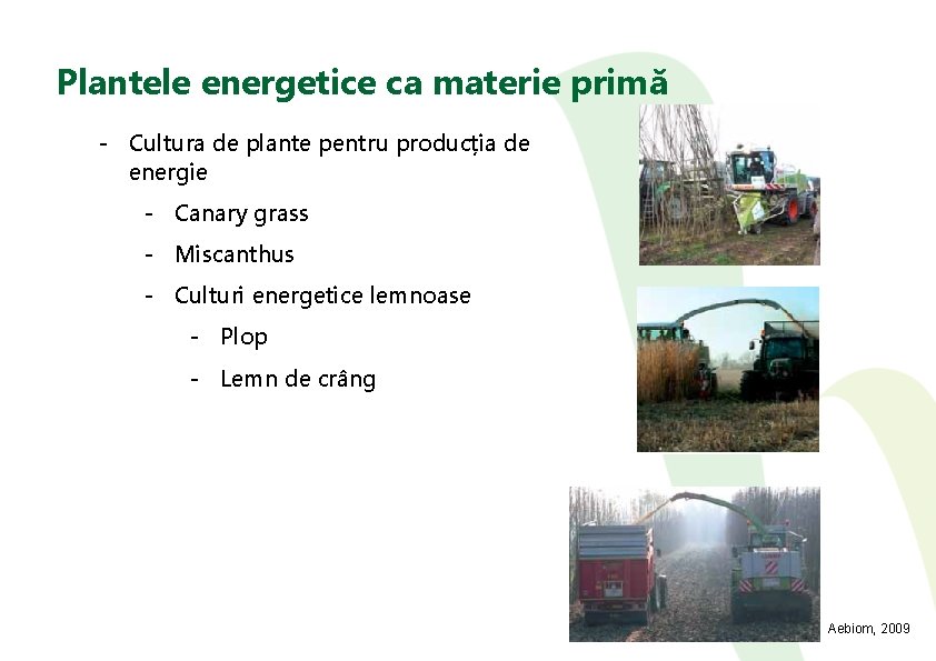 Plantele energetice ca materie primă - Cultura de plante pentru producția de energie -