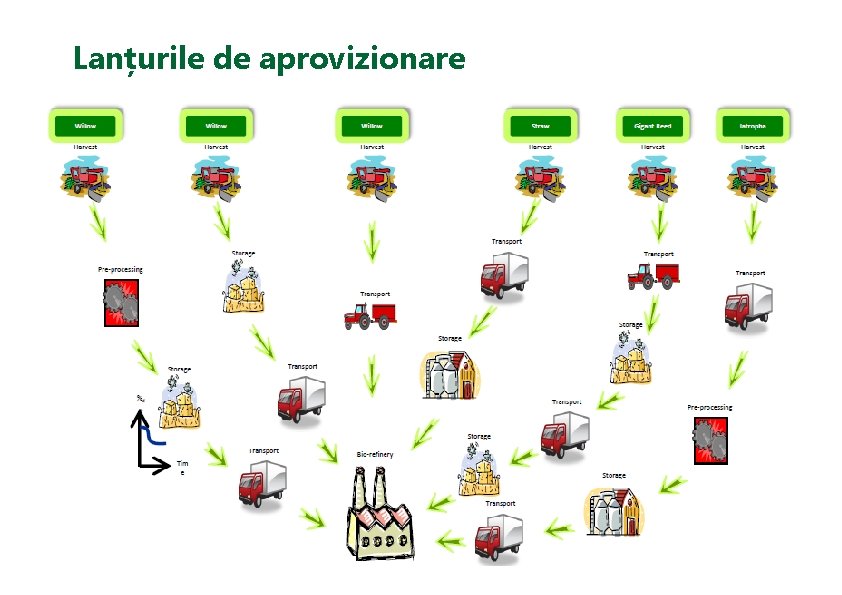 Lanțurile de aprovizionare 