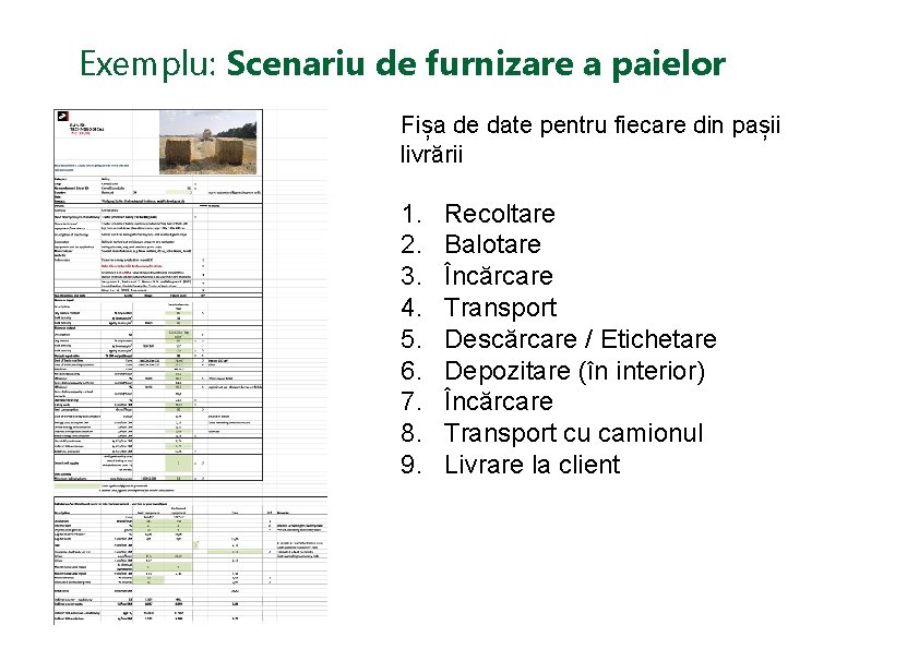 Exemplu: Scenariu de furnizare a paielor Fișa de date pentru fiecare din pașii livrării