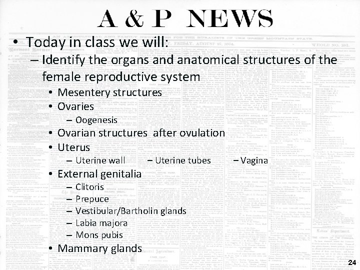 • Today in class we will: – Identify the organs and anatomical structures • Today in class we will: – Identify the organs and anatomical structures
