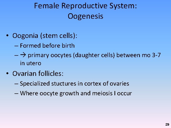 Female Reproductive System: Oogenesis • Oogonia (stem cells): – Formed before birth – primary Female Reproductive System: Oogenesis • Oogonia (stem cells): – Formed before birth – primary