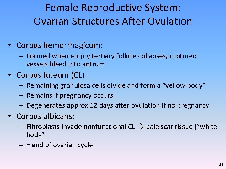 Female Reproductive System: Ovarian Structures After Ovulation • Corpus hemorrhagicum: – Formed when empty Female Reproductive System: Ovarian Structures After Ovulation • Corpus hemorrhagicum: – Formed when empty