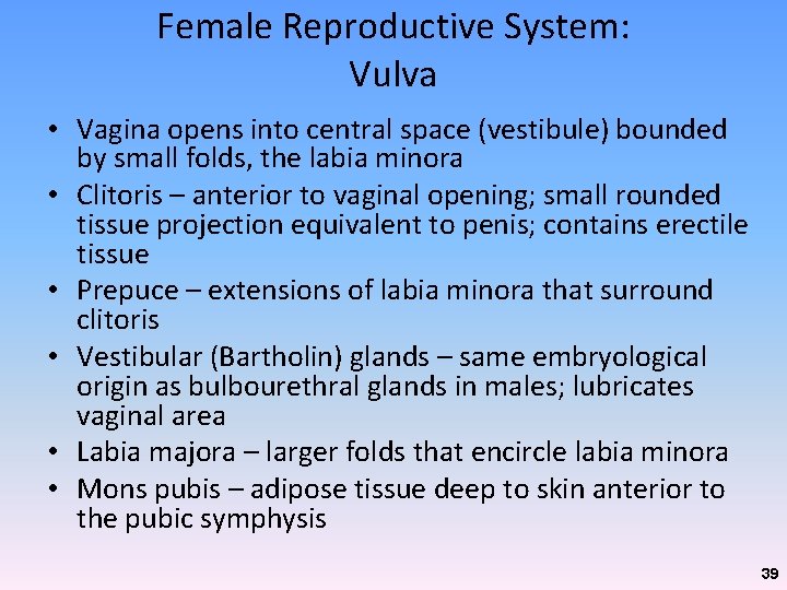 Female Reproductive System: Vulva • Vagina opens into central space (vestibule) bounded by small Female Reproductive System: Vulva • Vagina opens into central space (vestibule) bounded by small